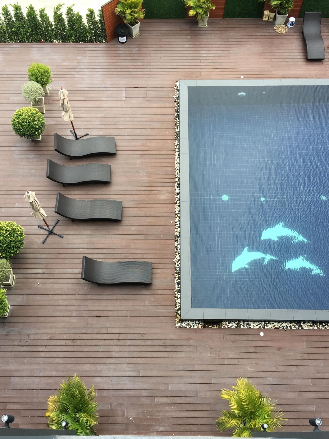 Aerial view luxury pool deck
